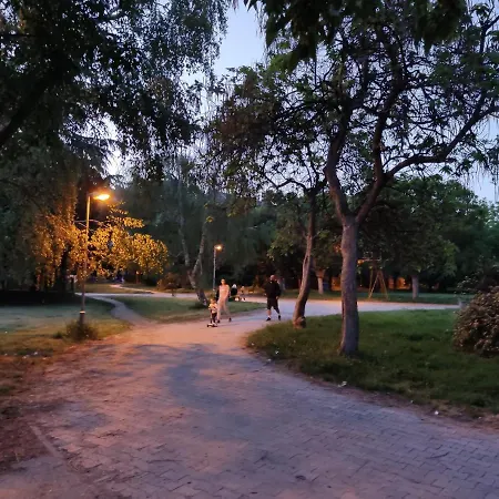 Zozi Urban